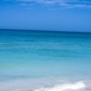 Meet your Posher, Lacy